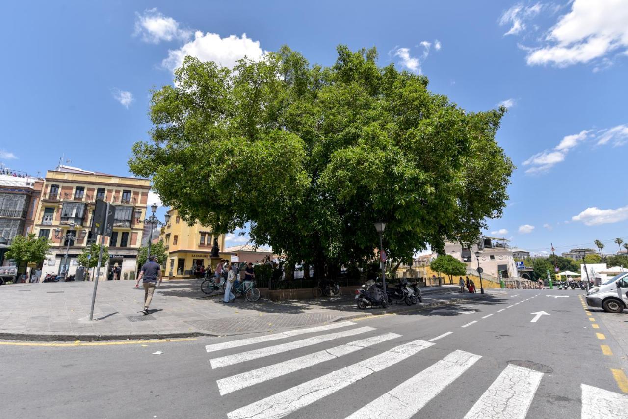 Alohamundi Pureza II Lägenhet Sevilla Exteriör bild